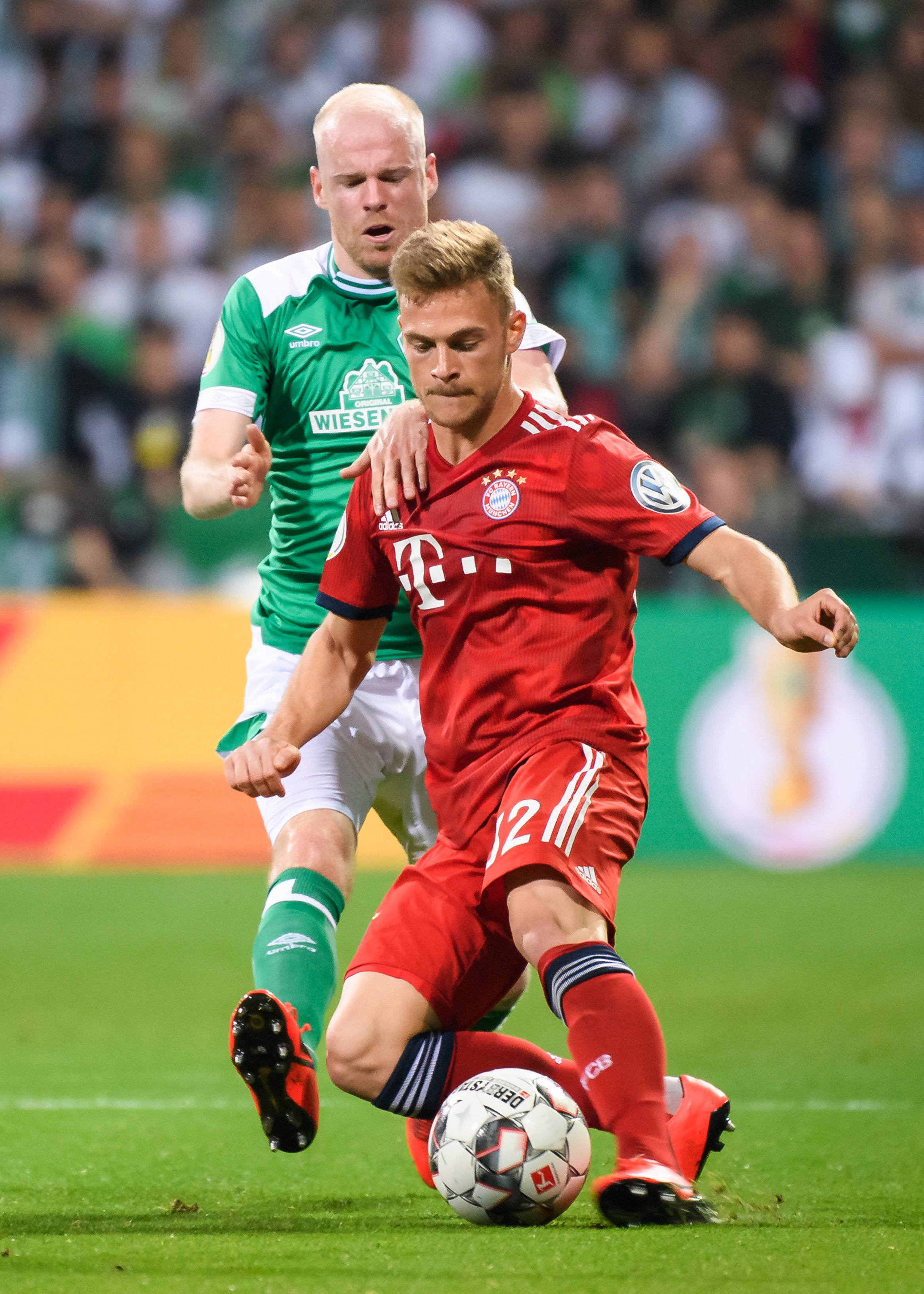 这一警告不 这一警告不