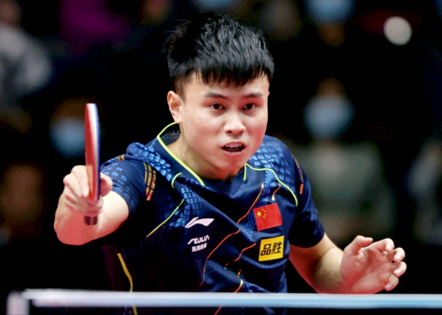 提供了新契 提供了新契